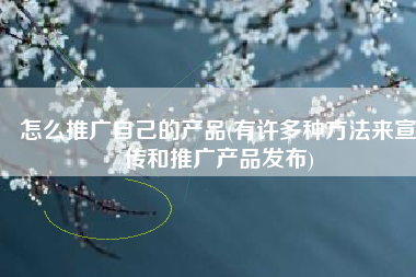 怎么推广自己的产品(有许多种方法来宣传和推广产品发布)