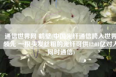 通信世界网 鹤壁(中国光纤通信跨入世界领先 一根头发丝粗的光纤可供12.01亿对人同时通信)