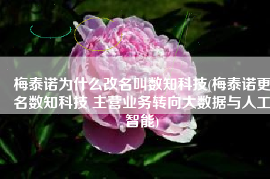 梅泰诺为什么改名叫数知科技(梅泰诺更名数知科技 主营业务转向大数据与人工智能)