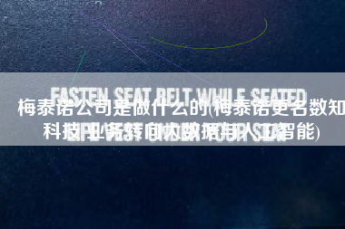 梅泰诺公司是做什么的(梅泰诺更名数知科技 业务转向大数据与人工智能)