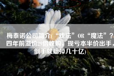梅泰诺公司简介(“戏法”OR“魔法”？四年前溢价29倍收购，现亏本半价出手，倒手就赔掉几十亿)