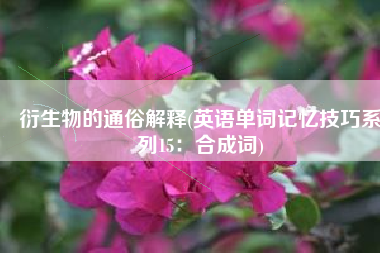 衍生物的通俗解释(英语单词记忆技巧系列15：合成词)