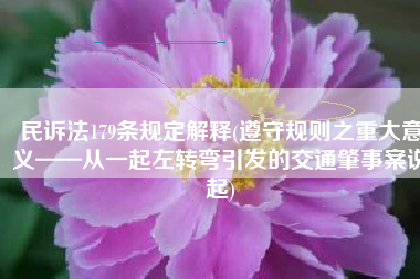 民诉法179条规定解释(遵守规则之重大意义——从一起左转弯引发的交通肇事案说起)