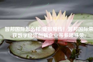 智邦国际怎么样(捷报频传！智邦国际荣获数字经济创新企业等多项殊荣)