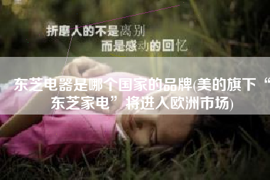 东芝电器是哪个国家的品牌(美的旗下“东芝家电”将进入欧洲市场)