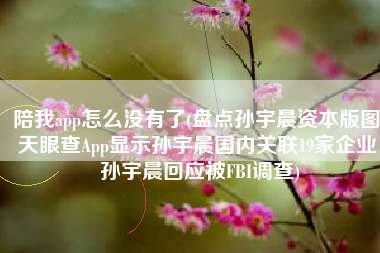 陪我app怎么没有了(盘点孙宇晨资本版图 天眼查App显示孙宇晨国内关联19家企业 孙宇晨回应被FBI调查)