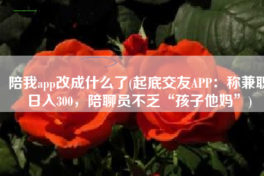 陪我app改成什么了(起底交友APP：称兼职日入300，陪聊员不乏“孩子他妈”)
