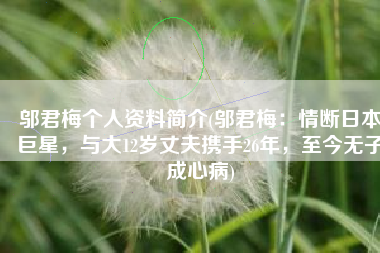 邬君梅个人资料简介(邬君梅：情断日本巨星，与大12岁丈夫携手26年，至今无子成心病)