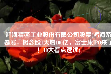 鸿海精密工业股份有限公司股票(鸿海系暴涨，概念股1天增100亿，富士康IPO来了！10大看点速读)