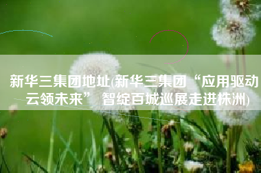 新华三集团地址(新华三集团“应用驱动，云领未来” 智绽百城巡展走进株洲)