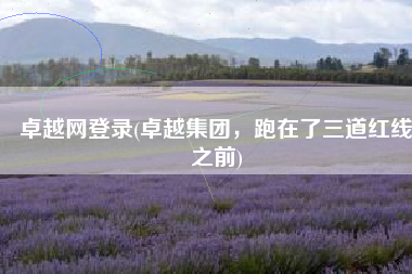 卓越网登录(卓越集团，跑在了三道红线之前)