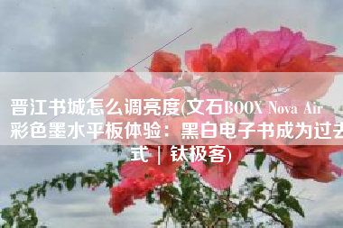 晋江书城怎么调亮度(文石BOOX Nova Air C彩色墨水平板体验：黑白电子书成为过去式 | 钛极客)