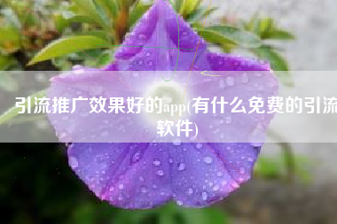 引流推广效果好的app(有什么免费的引流软件)