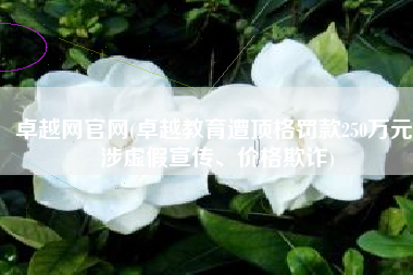 卓越网官网(卓越教育遭顶格罚款250万元 涉虚假宣传、价格欺诈)