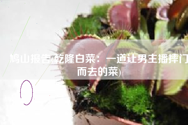 鸠山报告(乾隆白菜：一道让男主播摔门而去的菜)