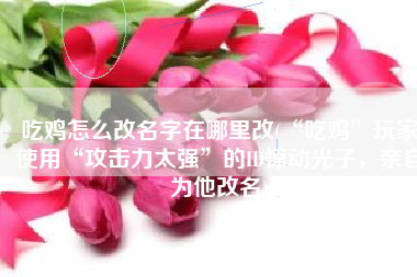吃鸡怎么改名字在哪里改(“吃鸡”玩家使用“攻击力太强”的ID惊动光子，亲自为他改名)