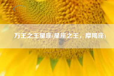 万王之王星座(星座之王，摩羯座)