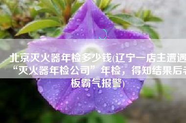 北京灭火器年检多少钱(辽宁一店主遭遇“灭火器年检公司”年检，得知结果后老板霸气报警)