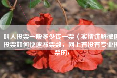 叫人投票一般多少钱一票（实情讲解微信投票如何快速涨票数，网上有没有专业投票的)