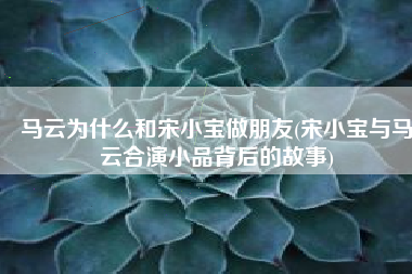 马云为什么和宋小宝做朋友(宋小宝与马云合演小品背后的故事)