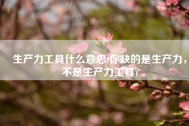 生产力工具什么意思(你缺的是生产力，不是生产力工具)