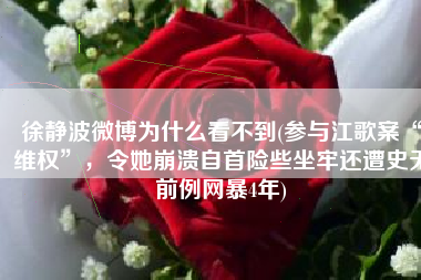 徐静波微博为什么看不到(参与江歌案“维权”，令她崩溃自首险些坐牢还遭史无前例网暴4年)