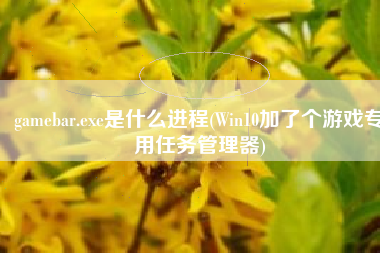 gamebar.exe是什么进程(Win10加了个游戏专用任务管理器)