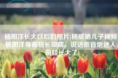 杨阳洋长大以后的照片(杨威晒儿子视频，杨阳洋身高腿长吸睛，说话低音炮迷人，萌娃长大了)