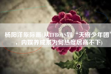 杨阳洋原际画(从TFBOYS到“天府少年团”，内娱养成系为何热度居高不下)