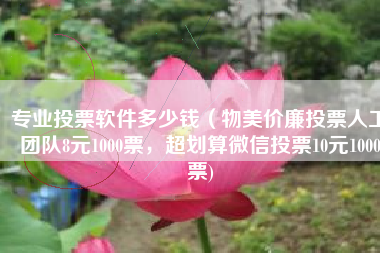 专业投票软件多少钱（物美价廉投票人工团队8元1000票，超划算微信投票10元1000票)