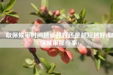 取保候审时间越长越好还是越短越好(取保候审那些事)