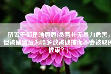 留置干部是啥意思(贪官并无暴力危害，但被留置后为啥多数被逮捕而不会被取保候审？)