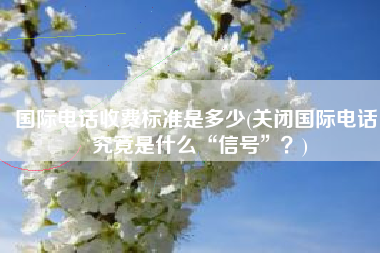 国际电话收费标准是多少(关闭国际电话，究竟是什么“信号”？)