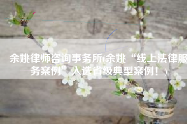 余姚律师咨询事务所(余姚“线上法律服务案例”入选省级典型案例！)