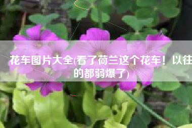 花车图片大全(看了荷兰这个花车！以往的都弱爆了)