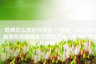 吃鸡怎么改名片性别(“吃鸡”在游戏中喊哥哥却被陌生女调侃下蛋，打开她的名片后酸了)