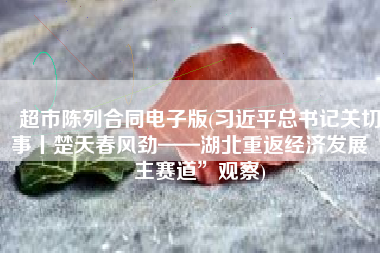 超市陈列合同电子版(习近平总书记关切事丨楚天春风劲——湖北重返经济发展“主赛道”观察)