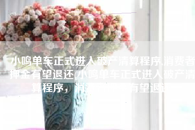 小鸣单车正式进入破产清算程序,消费者押金有望退还(小鸣单车正式进入破产清算程序，消费者押金有望退还)