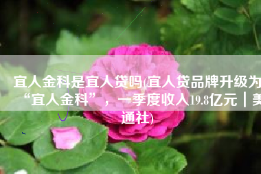 宜人金科是宜人贷吗(宜人贷品牌升级为“宜人金科”，一季度收入19.8亿元｜美通社)