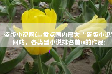 盗版小说网站(盘点国内最大“盗版小说”网站，各类型小说排名前10的作品)
