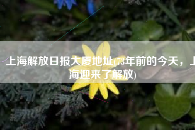上海解放日报大厦地址(73年前的今天，上海迎来了解放)