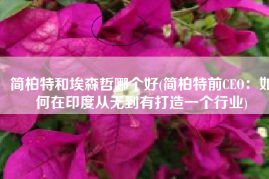 简柏特和埃森哲哪个好(简柏特前CEO：如何在印度从无到有打造一个行业)