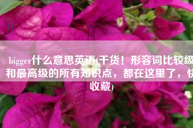 bigger什么意思英语(干货！形容词比较级和最高级的所有知识点，都在这里了，快收藏)