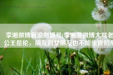 李湘微博新浪微博号(李湘发微博大骂老公王岳伦，朋友的女朋友也不能坐我的车)