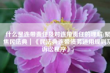 什么是连带责任及对连带责任的理解(聚焦民法典｜《民法典连带债务适用规则及诉讼程序》)