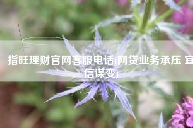 指旺理财官网客服电话(网贷业务承压 宜信谋变)