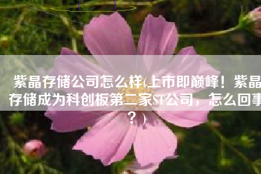 紫晶存储公司怎么样(上市即巅峰！紫晶存储成为科创板第二家ST公司，怎么回事？)