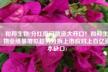 和邦生物(分红抠门融资大开口！和邦生物业绩暴增拟趁势分拆上市应对上百亿资本缺口)