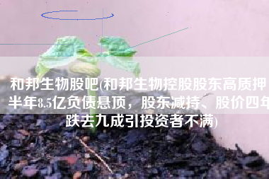 和邦生物股吧(和邦生物控股股东高质押，半年8.5亿负债悬顶，股东减持、股价四年跌去九成引投资者不满)