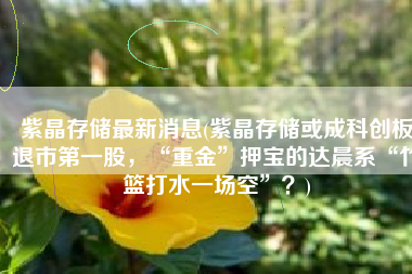 紫晶存储最新消息(紫晶存储或成科创板退市第一股，“重金”押宝的达晨系“竹篮打水一场空”？)